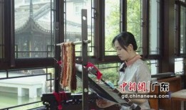 老陈爆料缅北事件视频播放,老陈爆料视频曝光惊人内幕