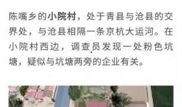 老陈爆料缅北事件视频播放,老陈爆料视频曝光惊人内幕