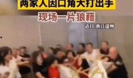 温州婚礼爆料视频,传统与现代交融的浪漫盛宴
