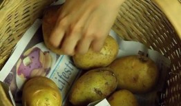 网友爆料土豆生芽视频播放,网友视频曝光惊人真相！