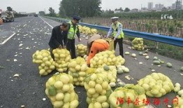 武都网红吃瓜群众视频大全,视频大全里的趣味生活瞬间