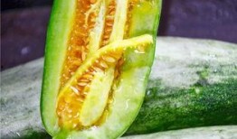 网红刘二萌吃瓜视频,揭秘网红圈幕后故事