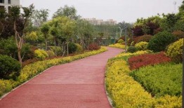 临沂公园爆料最新消息,神秘事件引发热议，真相即将揭晓！