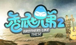 吃瓜第二季视频免费观看,免费畅享，揭秘娱乐圈幕后风云