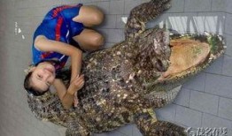 鳄鱼美女在线观看,惊险刺激的在线观看之旅