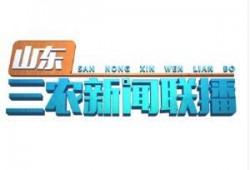 三农联盟爆料最新消息新闻,最新农业政策动向及农村发展动态解析”