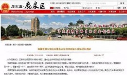 鹿泉最新爆料新闻头条,揭秘重大事件背后真相