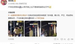 网爆吃瓜爆料视频大全最新,揭秘娱乐圈幕后真相