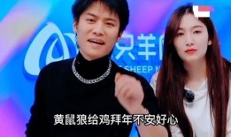 王海爆料小杨哥视频合集,王海爆料视频合集深度解析