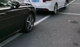 车某某最新爆料,揭秘娱乐圈惊人内幕