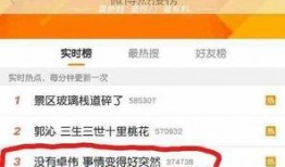 卓伟徒弟爆料郭富城视频,卓伟徒弟揭露惊人内幕