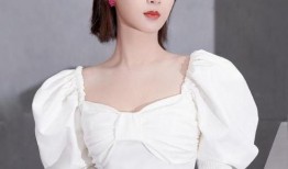 娱乐小爆料鞠婧祎,揭秘明星背后的故事与魅力”