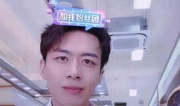 柏林林前妻爆料视频,视频曝光婚姻真相