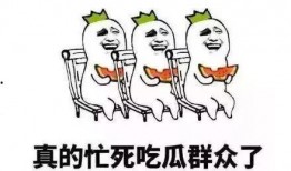 给吃瓜群众免费看,吃瓜群众共享视觉盛宴
