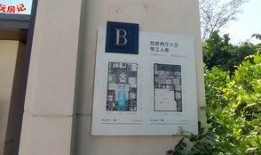 何家四房爆料视频大全,爆料视频大全深度解析