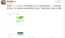 站哥爆料最新消息,最新热点事件内幕大揭秘！