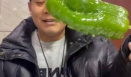 网红刘二萌吃瓜视频,揭秘网红圈幕后故事