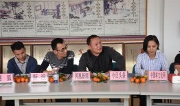 雷州记者爆料新闻事件,重大新闻事件引发社会关注