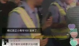 网友爆料作秀视频大全下载,作秀视频大全，揭秘网络红人幕后真相