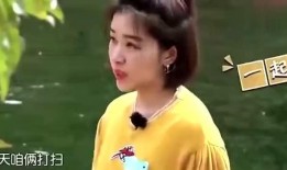 娱乐圈爆料博主女的是谁,揭秘神秘幕后推手