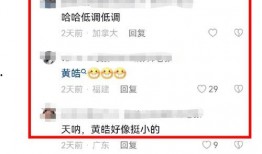 网友自己爆料自己的视频,揭秘真实生活瞬间