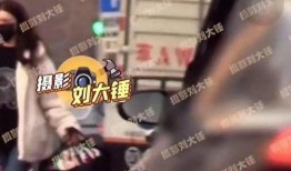 夜枫最新爆料视频大全,揭秘娱乐圈幕后真相
