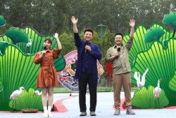越南狗仔爆料视频大全最新,揭秘娱乐圈幕后真相
