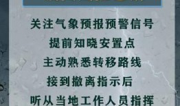 暴雨热点爆料新闻报道稿,热点爆料直击暴雨灾害现场