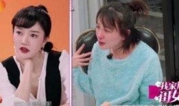 辰飞和君君爆料录视频,揭秘幕后故事与精彩瞬间