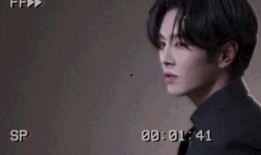 辰飞和君君爆料录视频,揭秘幕后故事与精彩瞬间