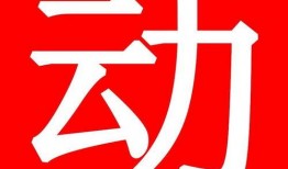 爆料白酒勾兑视频教程全集,视频教程全集深度解析