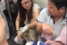 石家庄阿姨最新爆料事件,揭露背后惊人真相