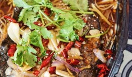 外卖爆料烤鱼视频播放大全,外卖爆料视频播放大全精选回顾