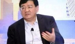 徐小平爆料亲戚视频,揭秘背后真相与争议