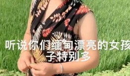 缅甸小女孩爆料事件视频,引发社会关注