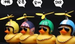 蟹老板的钳爆焗最新爆料,揭秘美食背后的秘密与惊喜