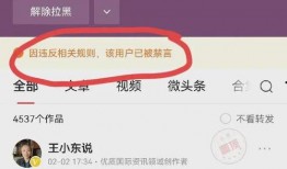 辉瑞公司黑人爆料视频,种族歧视与不公待遇