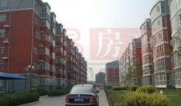 龙兴嘉苑爆料事件视频播放,事件真相大揭秘