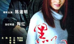 电视剧黑洞在线观看,揭秘神秘宇宙的奥秘之旅