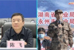 陈飞爆料视频大全最新一期