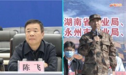 陈飞爆料视频大全最新一期