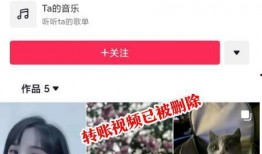 美七真实情况爆料最新,真实爆料背后的惊人真相