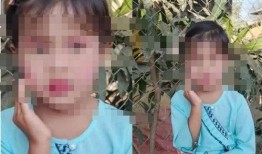 缅甸小女孩爆料事件视频,引发社会关注