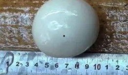 蛋仔最新纤维皮肤爆料,揭秘最新纤维皮肤神秘面纱