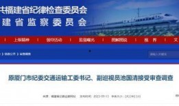 新闻爆料何亨健简历介绍,从创业青年到商业巨头，揭秘他的奋斗历程与成就