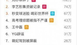 黑天鹅机制爆料视频,视频爆料揭示市场波动背后的惊人真相