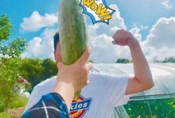 2020年网红吃瓜,盘点年度热门事件与幕后真相