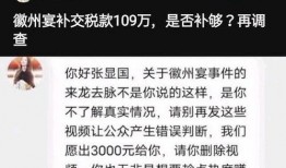 有网友打假爆料犯法吗视频,法律边界与网络舆论的较量