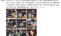 可爱杨爸爆料视频大全在线观看,视频大全在线观看，欢乐时刻尽收眼底