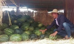 武都网红吃瓜群众视频大全,视频大全里的趣味生活瞬间